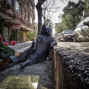 Universal Car Key Blank